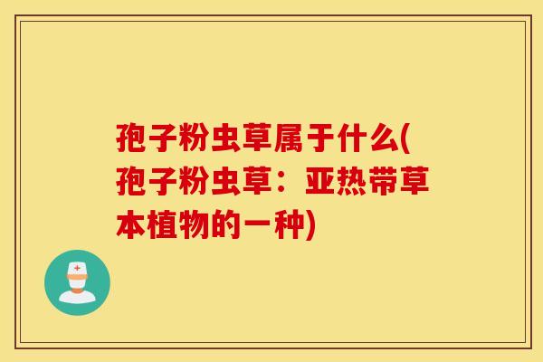 孢子粉虫草属于什么(孢子粉虫草：亚热带草本植物的一种)