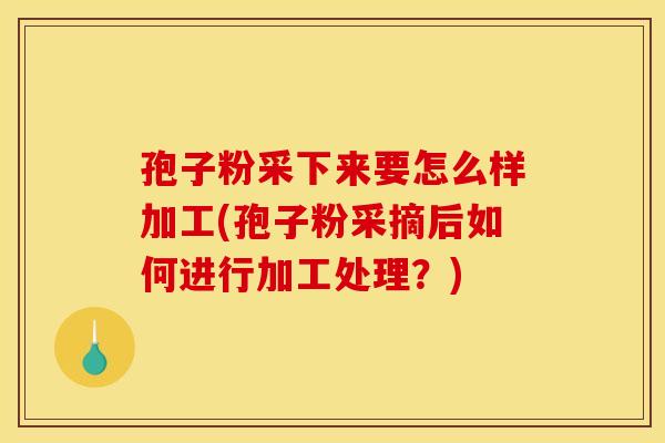 孢子粉采下来要怎么样加工(孢子粉采摘后如何进行加工处理？)