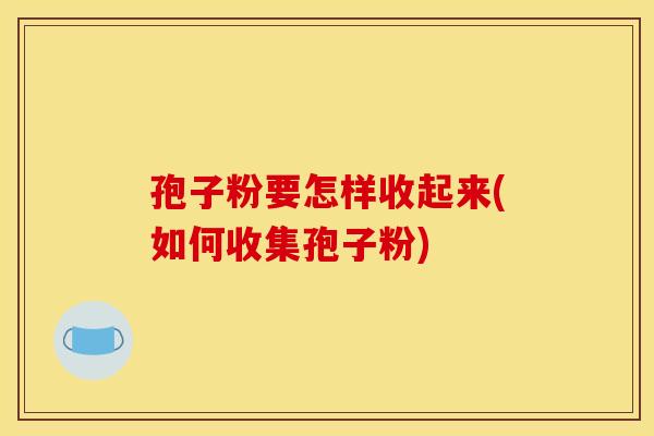 孢子粉要怎样收起来(如何收集孢子粉)