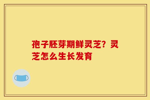 孢子胚芽期鲜灵芝？灵芝怎么生长发育