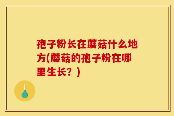 孢子粉长在蘑菇什么地方(蘑菇的孢子粉在哪里生长？)