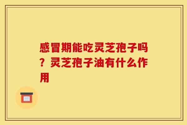 感冒期能吃灵芝孢子吗？灵芝孢子油有什么作用