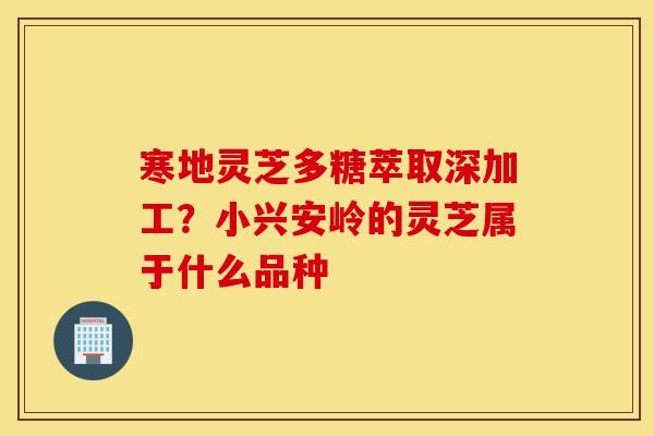 寒地灵芝多糖萃取深加工？小兴安岭的灵芝属于什么品种