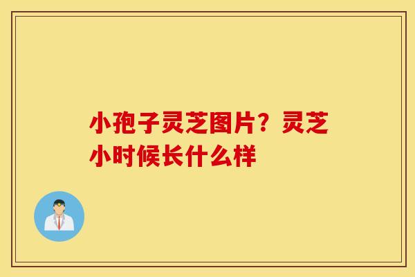 小孢子灵芝图片？灵芝小时候长什么样