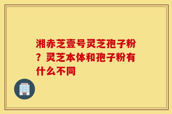 湘赤芝壹号灵芝孢子粉？灵芝本体和孢子粉有什么不同
