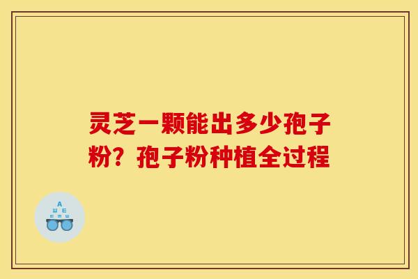灵芝一颗能出多少孢子粉？孢子粉种植全过程