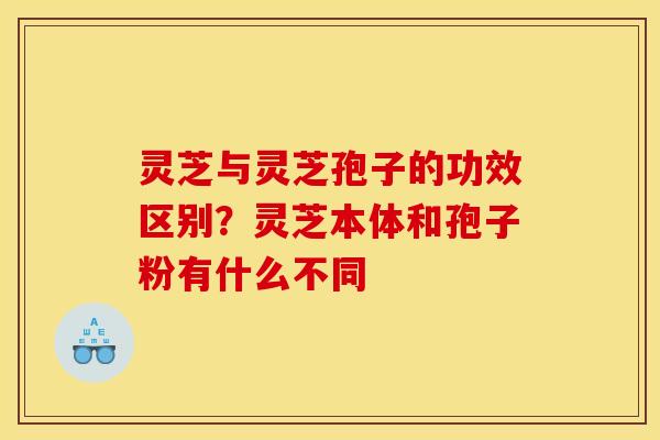 灵芝与灵芝孢子的功效区别？灵芝本体和孢子粉有什么不同