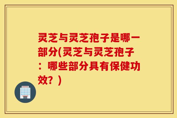 灵芝与灵芝孢子是哪一部分(灵芝与灵芝孢子：哪些部分具有保健功效？)