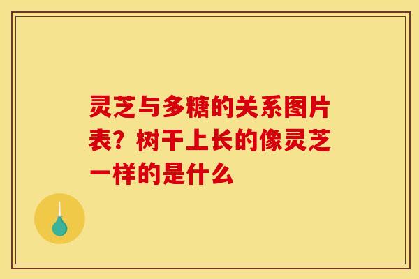 灵芝与多糖的关系图片表？树干上长的像灵芝一样的是什么