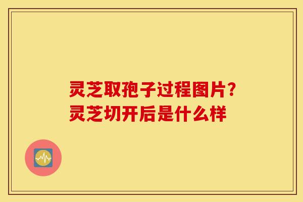 灵芝取孢子过程图片？灵芝切开后是什么样