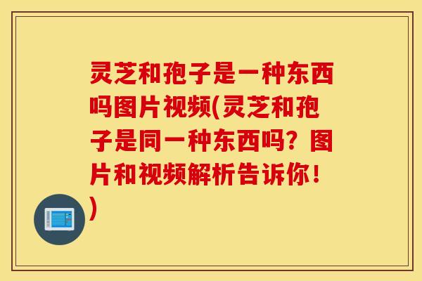 灵芝和孢子是一种东西吗图片视频(灵芝和孢子是同一种东西吗？图片和视频解析告诉你！)