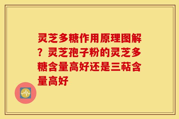 灵芝多糖作用原理图解？灵芝孢子粉的灵芝多糖含量高好还是三萜含量高好