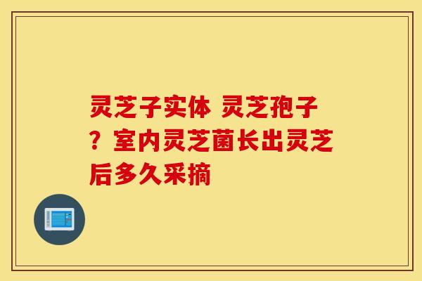 灵芝子实体 灵芝孢子？室内灵芝菌长出灵芝后多久采摘