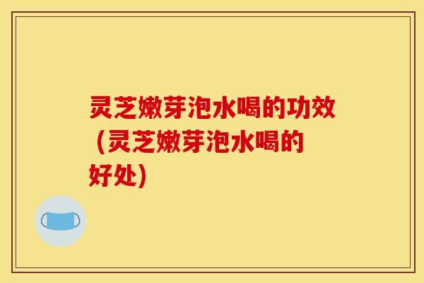 灵芝嫩芽泡水喝的功效 (灵芝嫩芽泡水喝的好处)