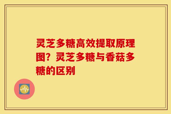灵芝多糖高效提取原理图？灵芝多糖与香菇多糖的区别