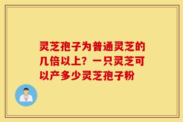 灵芝孢子为普通灵芝的几倍以上？一只灵芝可以产多少灵芝孢子粉
