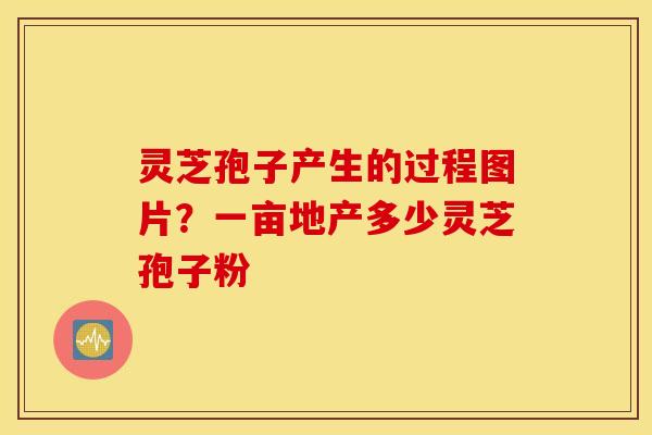 灵芝孢子产生的过程图片？一亩地产多少灵芝孢子粉