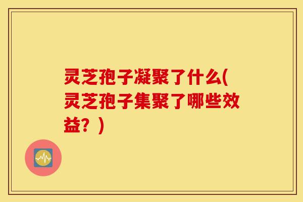 灵芝孢子凝聚了什么(灵芝孢子集聚了哪些效益？)