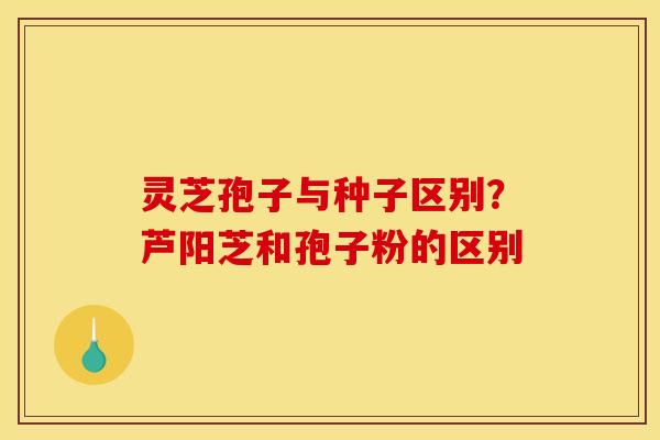 灵芝孢子与种子区别？芦阳芝和孢子粉的区别