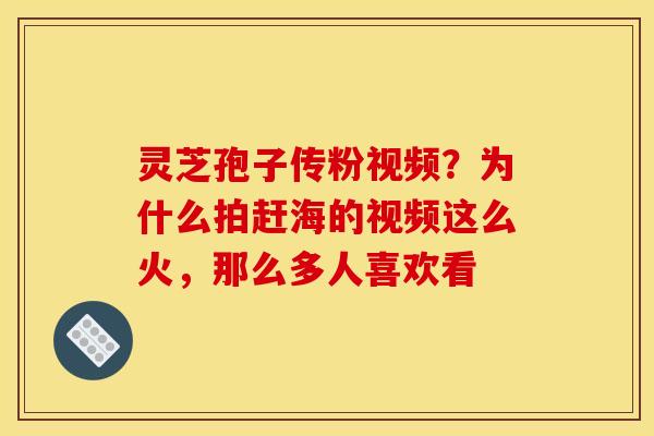 灵芝孢子传粉视频？为什么拍赶海的视频这么火，那么多人喜欢看