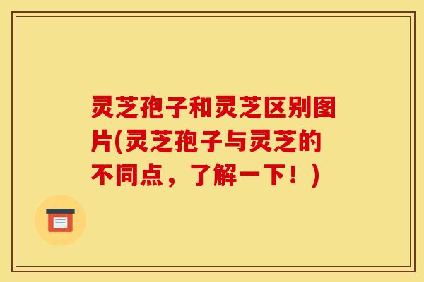 灵芝孢子和灵芝区别图片(灵芝孢子与灵芝的不同点，了解一下！)