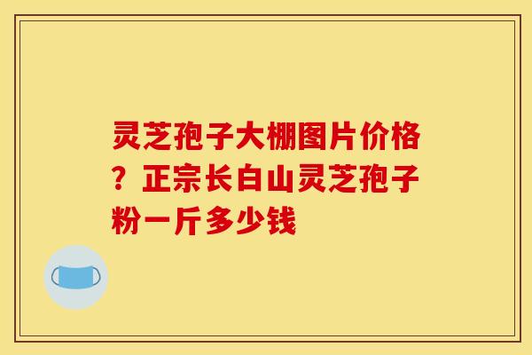 灵芝孢子大棚图片价格？正宗长白山灵芝孢子粉一斤多少钱