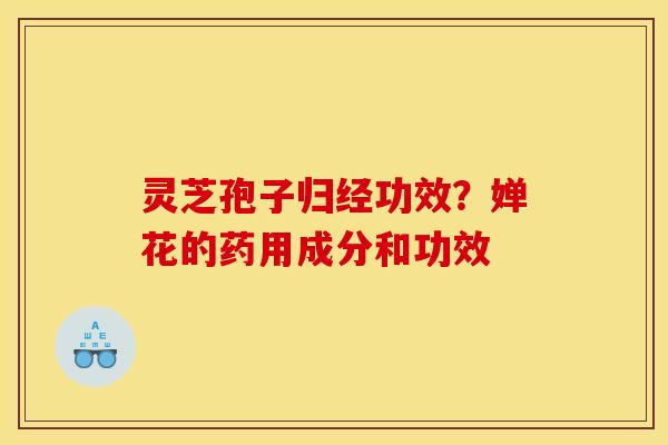 灵芝孢子归经功效？婵花的药用成分和功效