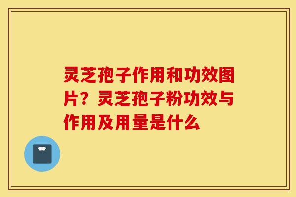灵芝孢子作用和功效图片？灵芝孢子粉功效与作用及用量是什么