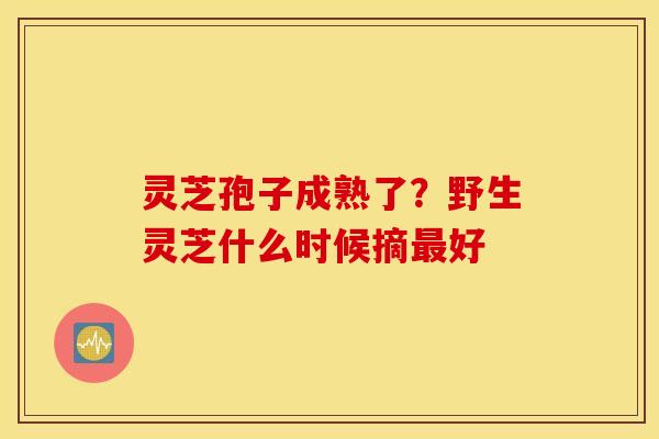 灵芝孢子成熟了？野生灵芝什么时候摘最好