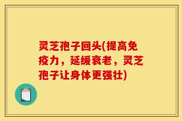 灵芝孢子回头(提高免疫力，延缓衰老，灵芝孢子让身体更强壮)