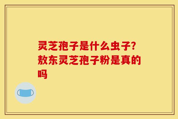 灵芝孢子是什么虫子？敖东灵芝孢子粉是真的吗