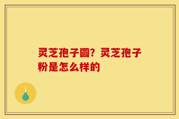 灵芝孢子圆？灵芝孢子粉是怎么样的