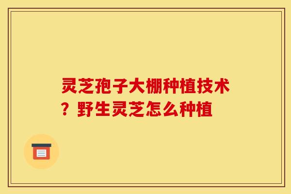 灵芝孢子大棚种植技术？野生灵芝怎么种植