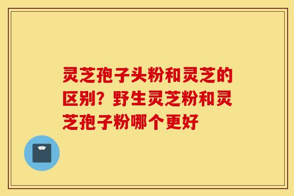 灵芝孢子头粉和灵芝的区别？野生灵芝粉和灵芝孢子粉哪个更好