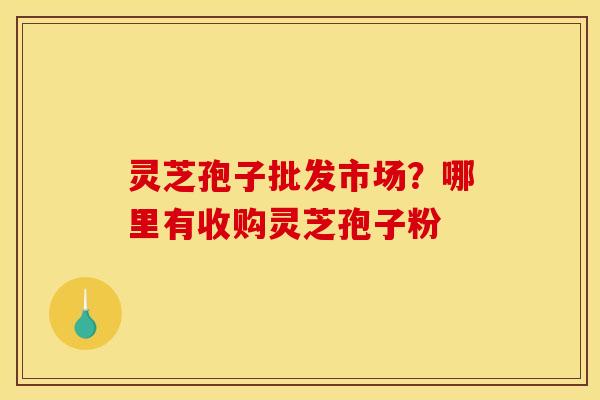 灵芝孢子批发市场？哪里有收购灵芝孢子粉