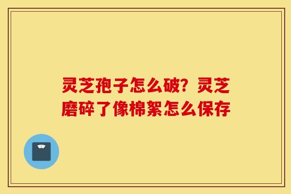 灵芝孢子怎么破？灵芝磨碎了像棉絮怎么保存