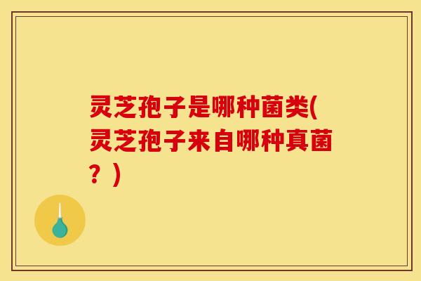 灵芝孢子是哪种菌类(灵芝孢子来自哪种真菌？)