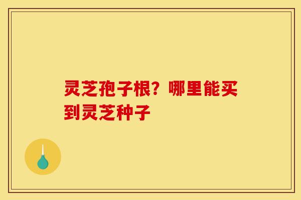 灵芝孢子根？哪里能买到灵芝种子
