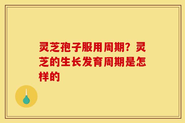 灵芝孢子服用周期？灵芝的生长发育周期是怎样的