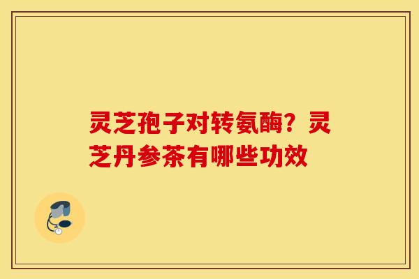 灵芝孢子对转氨酶？灵芝丹参茶有哪些功效