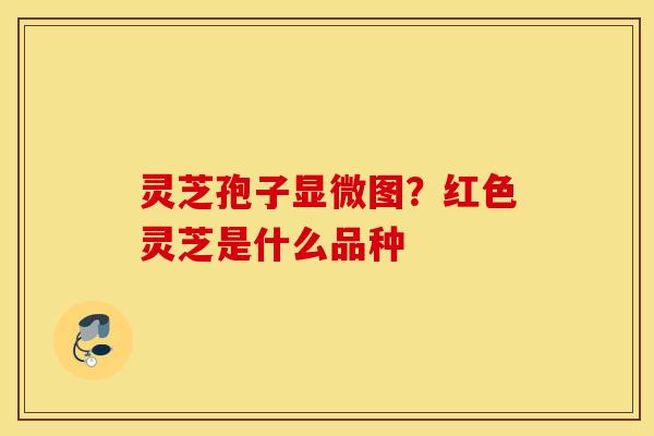 灵芝孢子显微图？红色灵芝是什么品种