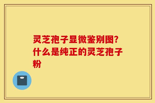 灵芝孢子显微鉴别图？什么是纯正的灵芝孢子粉