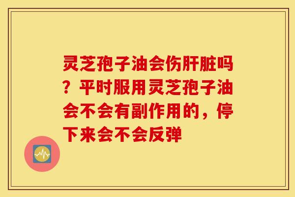 灵芝孢子油会伤肝脏吗？平时服用灵芝孢子油会不会有副作用的，停下来会不会反弹