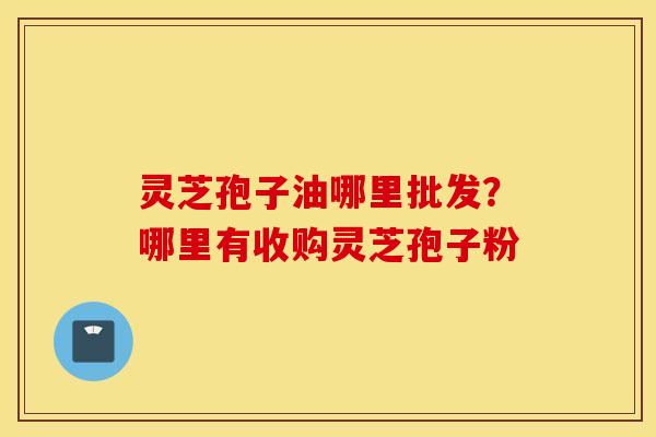 灵芝孢子油哪里批发？哪里有收购灵芝孢子粉