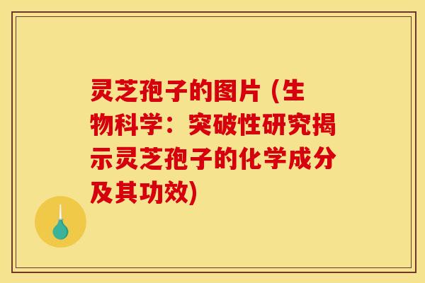 灵芝孢子的图片 (生物科学：突破性研究揭示灵芝孢子的化学成分及其功效)