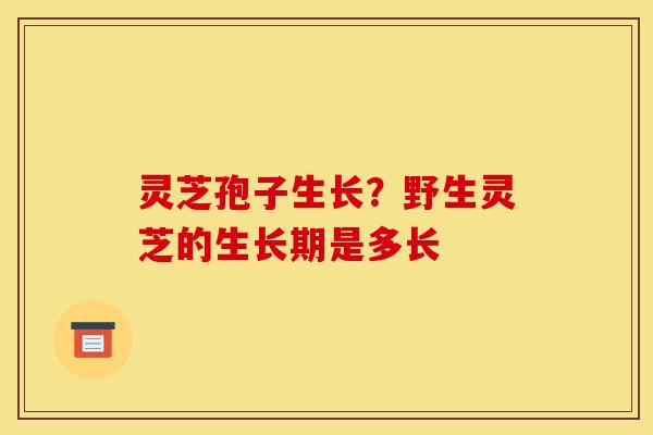 灵芝孢子生长？野生灵芝的生长期是多长