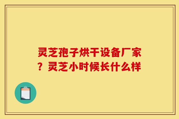 灵芝孢子烘干设备厂家？灵芝小时候长什么样