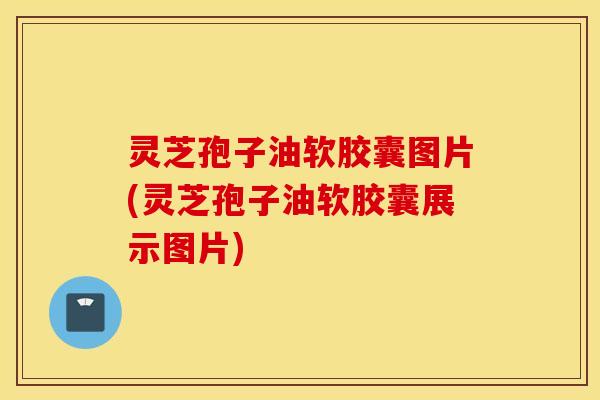 灵芝孢子油软胶囊图片(灵芝孢子油软胶囊展示图片)