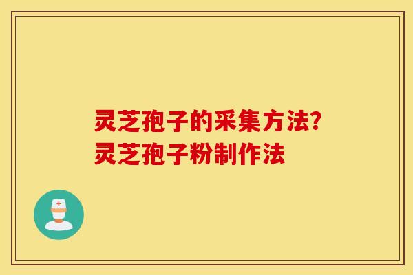 灵芝孢子的采集方法？灵芝孢子粉制作法