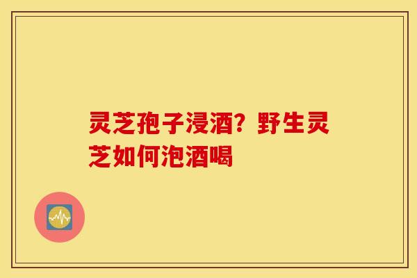 灵芝孢子浸酒？野生灵芝如何泡酒喝